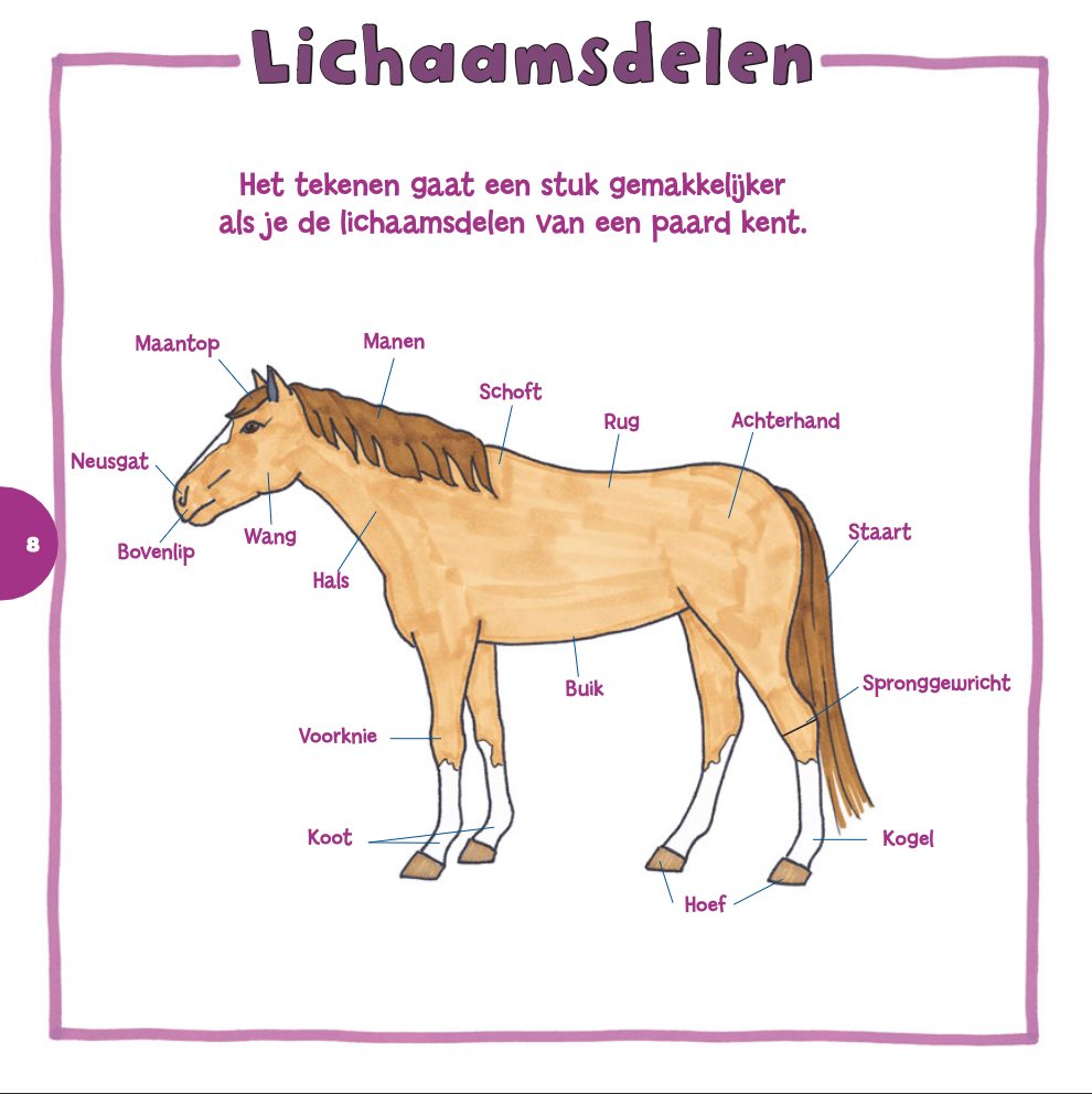 Ik leer paarden tekenen