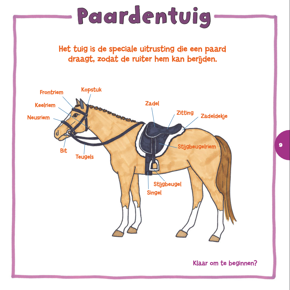 Ik leer paarden tekenen