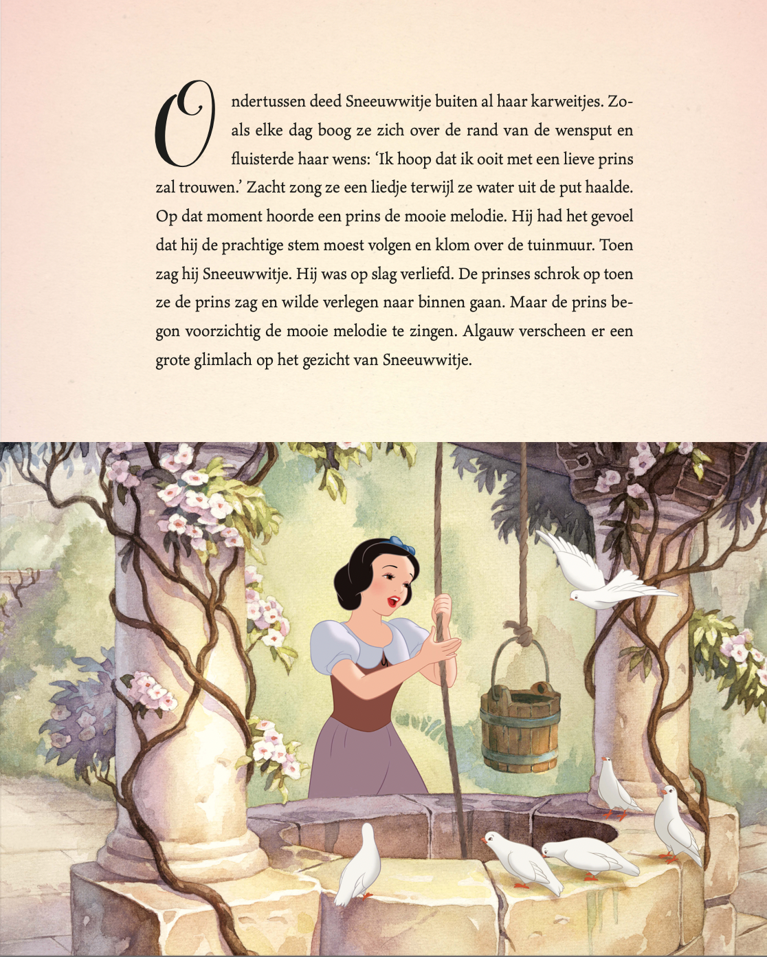 Disney prinses - Het magische Prinsessen sprookjesboek
