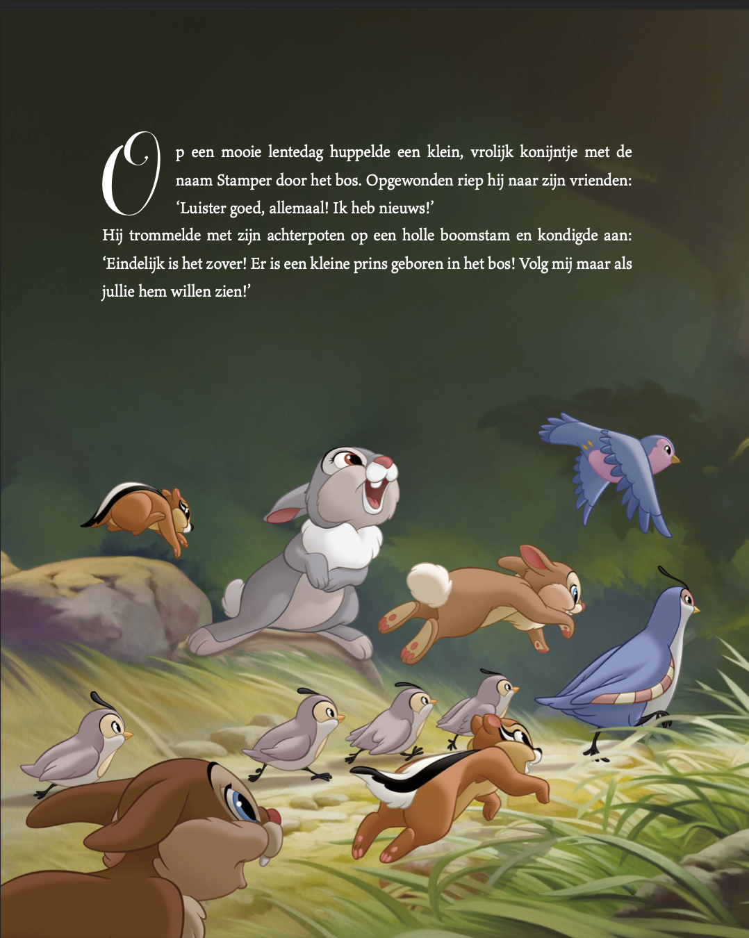 Disney Het Betoverende Sprookjesboek