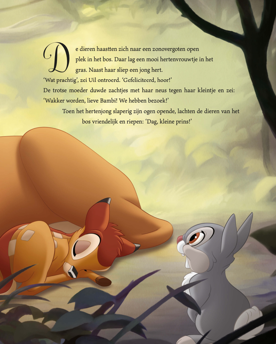 Disney Het Betoverende Sprookjesboek