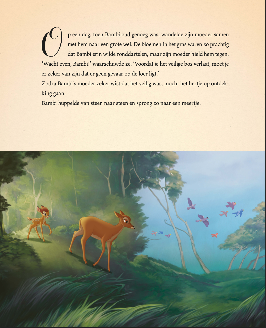 Disney Het Betoverende Sprookjesboek